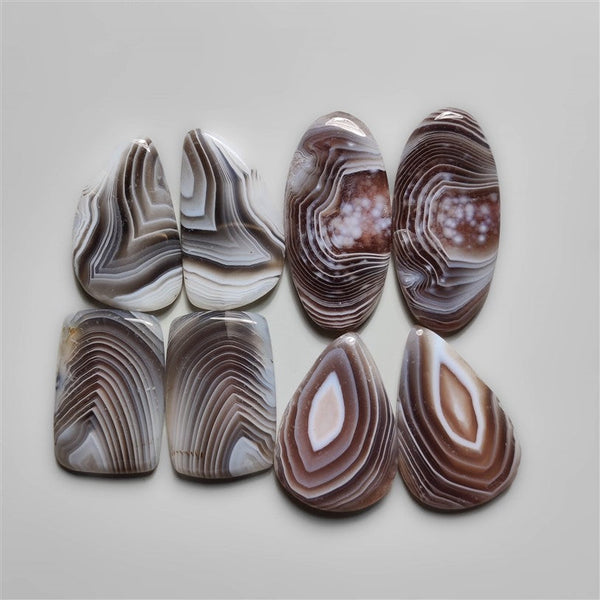 Botswana Agate  Pair Lot