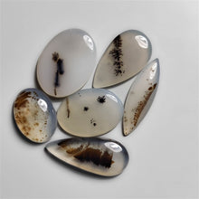 Rare Scenic Dendritic Agate Cabs Lot