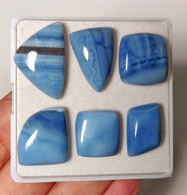 Owhyee Blue Opal Cabs Lot