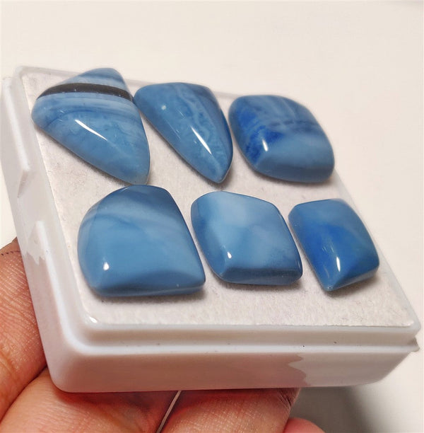 Owhyee Blue Opal Cabs Lot