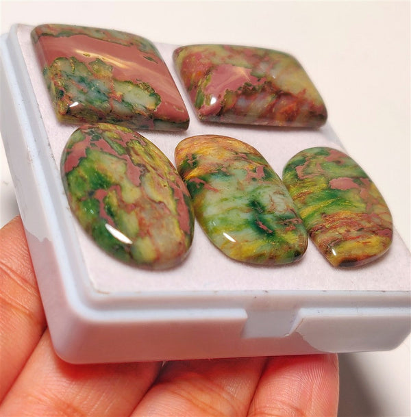 Ruby Fuchsite Cabs Lot