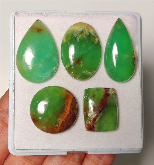 Boulder Chrysoprase Cabs Lot