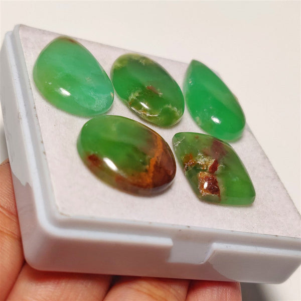 Boulder Chrysoprase Cabs Lot