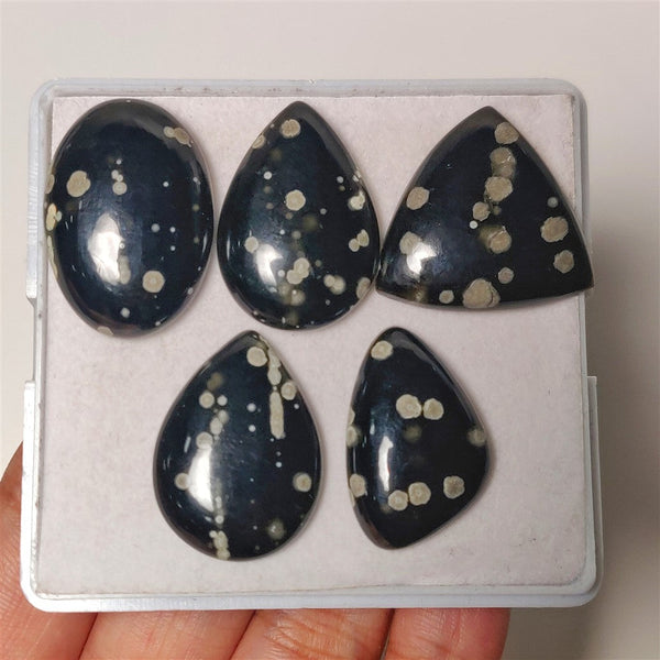 Galaxy Obsidian Cabs Lot