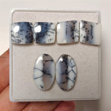 Dendritic Agate Pairs Lot