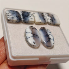 Dendritic Agate Pairs Lot