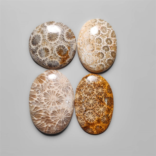 Fossil Coral Cabochons Lot