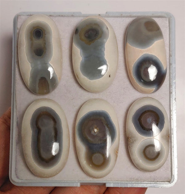 Solar Shiva Eye Quartz Lot