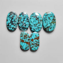 Hubei Turquoise Cabochons Lot