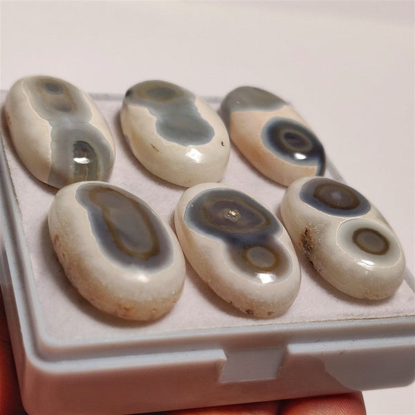 Solar Shiva Eye Quartz Lot