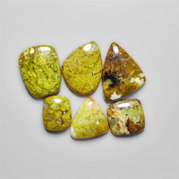 Serpentine Cabochons Lot