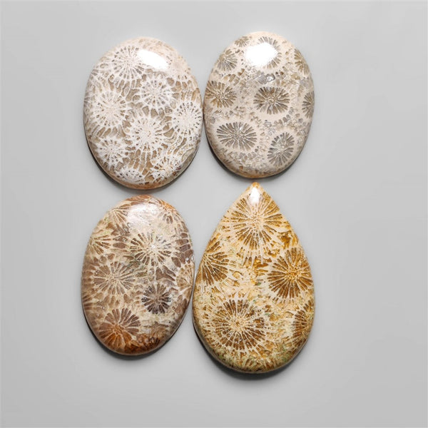 Fossil Coral Cabochons Lot