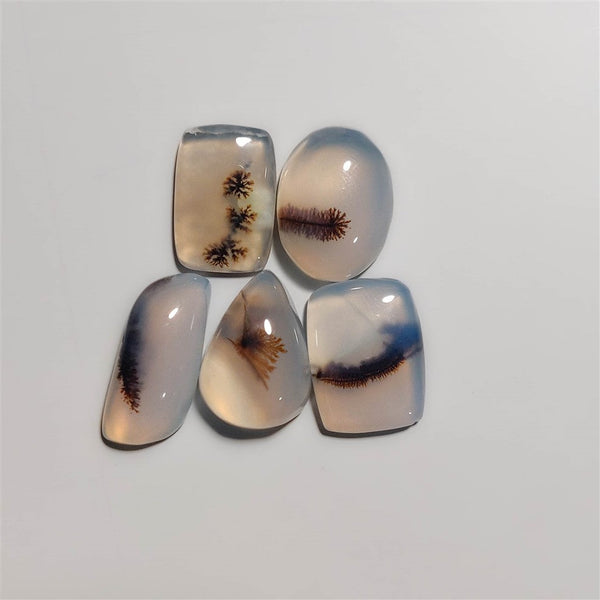 Scenic Dendritic Agate Cabochons Lot