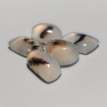 Scenic Dendritic Agate Cabochons Lot