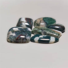 Tree Agate Cabochons Lot