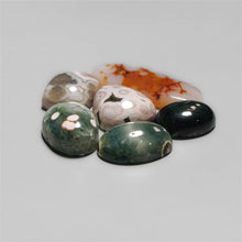 Obicular Ocean Japser Cabochons Lot