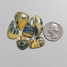 GEMSTONE, LAPIRADRY ASTIST