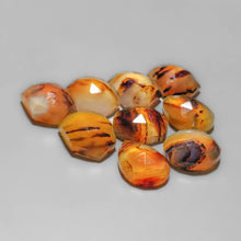 Rose Cut Montana Agates Lot