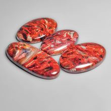 Rare Red Pietersite Cabochons Lot