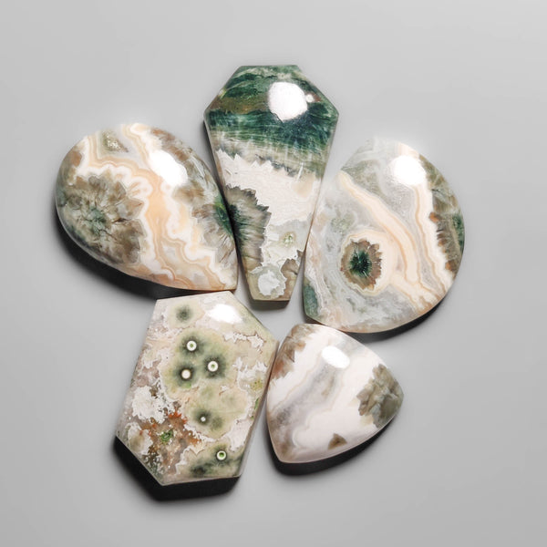 Green Ocean Jasper Cabochons Lot