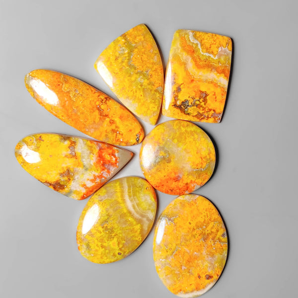 Sunrise Bumble Bee Jasper Cabochons Lot