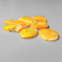 Sunrise Bumble Bee Jasper Cabochons Lot