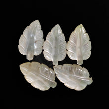 Handcarved Mother Of Pearl Doublet Leaves Lot