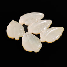 Handcarved Mother Of Pearl Doublet Leaves Lot