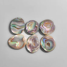 Abalone Shell Cabochons Lot