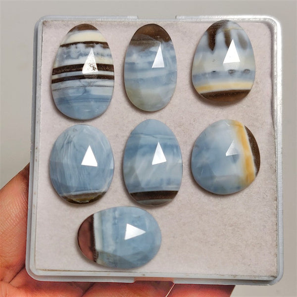 Rose Cut Owhyee Blue Opal Lot