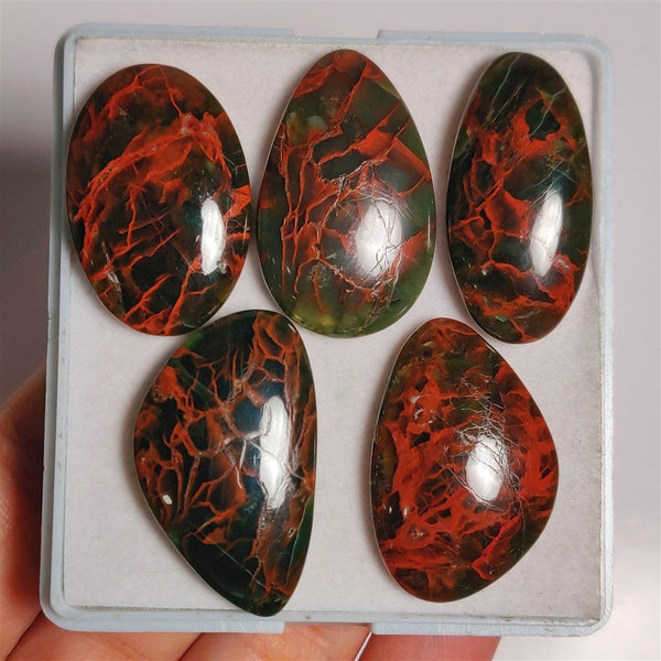 Spiderwoman Jasper Cabs Lot