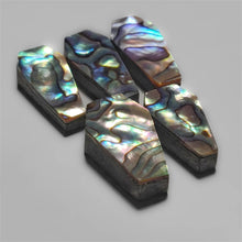 Abalone Shell Coffins Lot