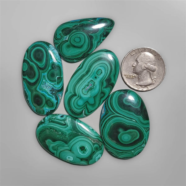 Rare Patterm Malachite cabochons Lot