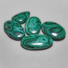 Rare Patterm Malachite cabochons Lot