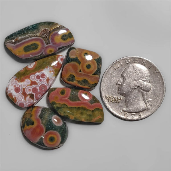 Obicular Ocean Jasper cabochons Lot