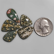 Obicular Ocean Jasper cabochons Lot