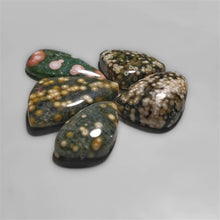 Obicular Ocean Jasper cabochons Lot