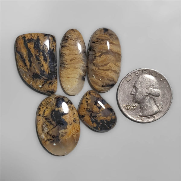 Austraian Yellow Tiger Dendritic Agate cabochons Lot