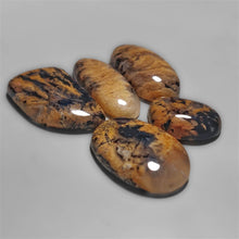 Austraian Yellow Tiger Dendritic Agate cabochons Lot