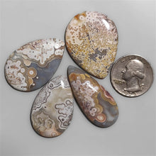 Selected Crazy Lace Agate cabochons Lot