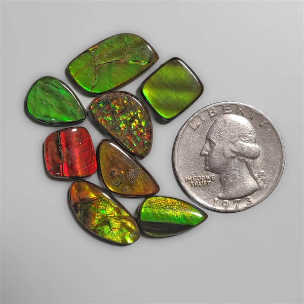 High Grade Ammolite cabochons Lot