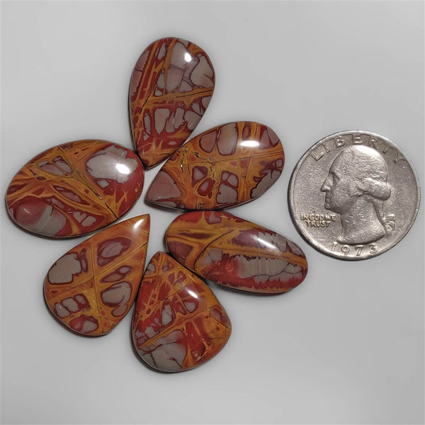 Noreena Jasper cabochons Lot