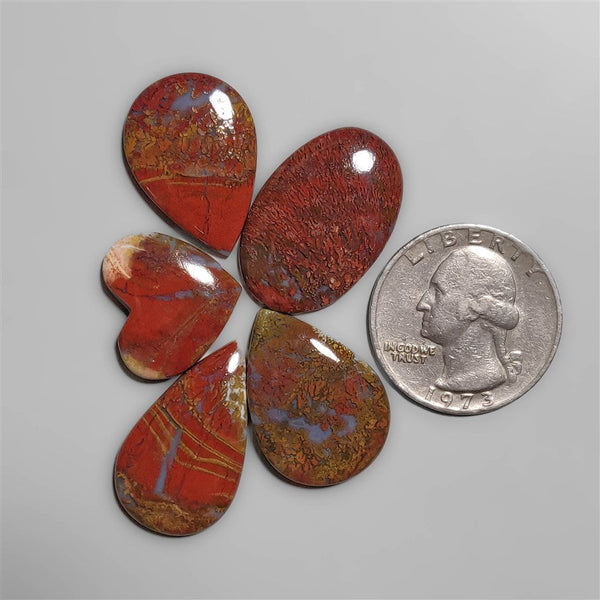 Indonesian Red Moss Agate cabochons Lot