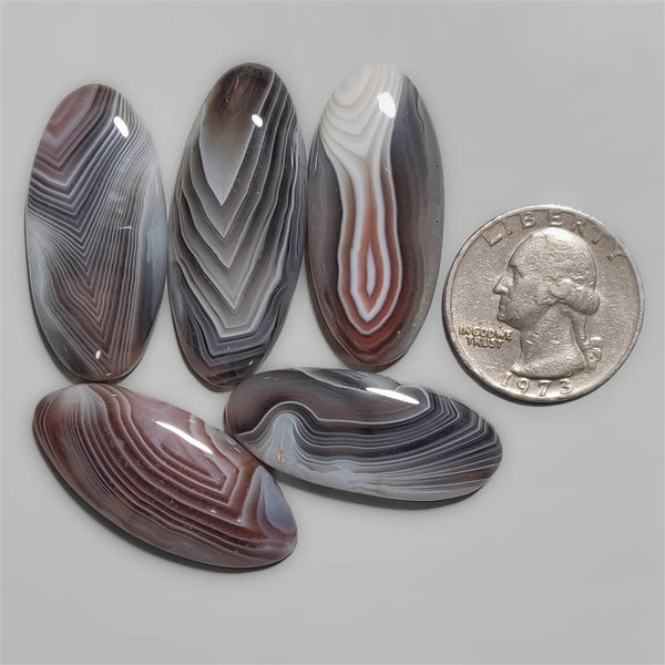 Botswana Agate Cab Rounds Lot