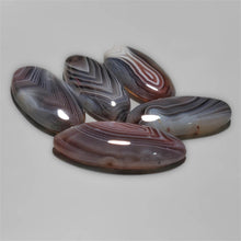 Botswana Agate Cab Rounds Lot