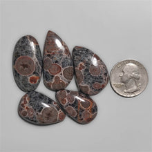 Peanut Obsidian cabochons Lot