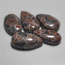 Peanut Obsidian cabochons Lot