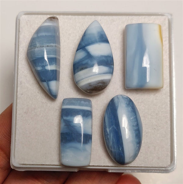 Owhyee Blue Opal Cabs Lot