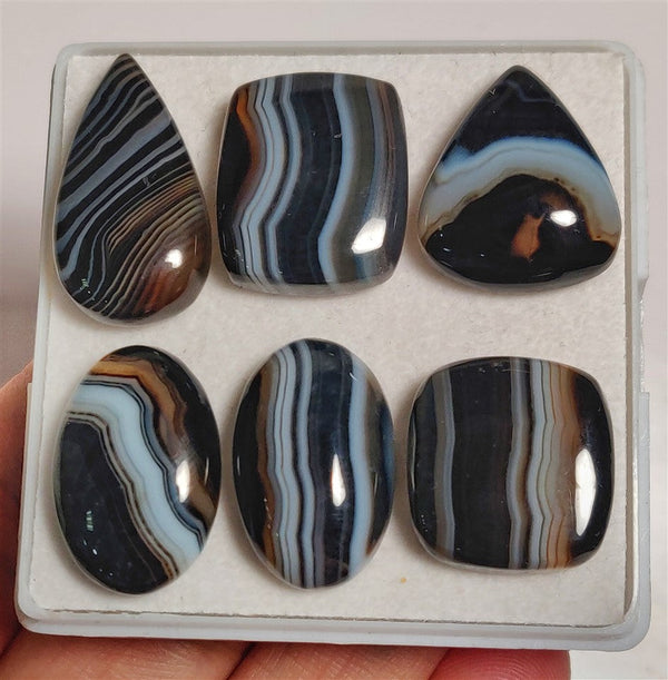 Tuxedo Agate Cabs Lot