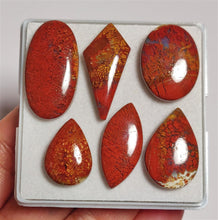 Opaque Red Moss Agate Cabs Lot